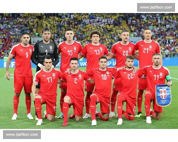 弗鲁米嫩塞对阵戈亚斯精彩对决揭示巴西足球强队激烈竞争态势